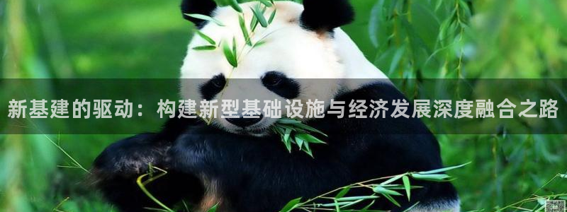 香港和记卡官网