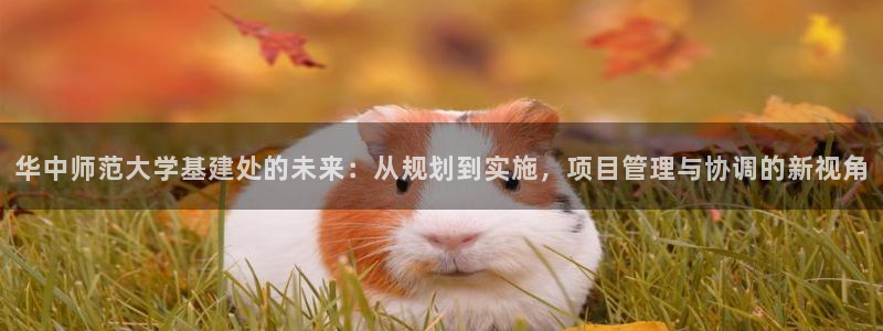 澳门和记 官网