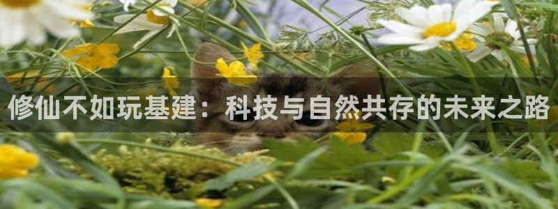 和记app官网