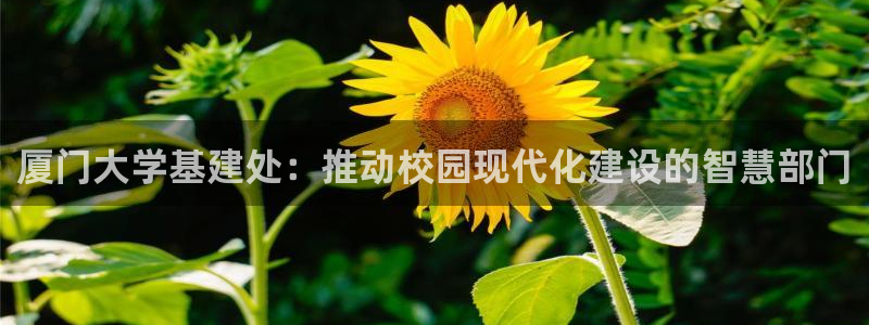 和记手机客户端官网